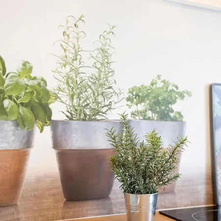 Daddeldu Apartment *